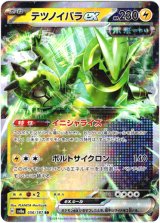 画像: テツノイバラex