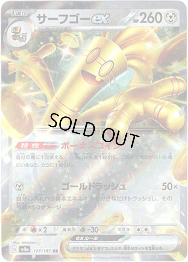 画像1: サーフゴーex