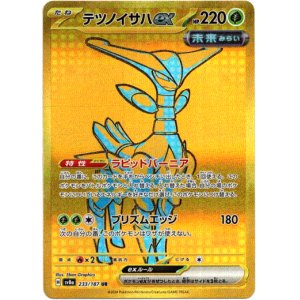 画像: ※傷有り品（返品交換対象外）【UR】テツノイサハex