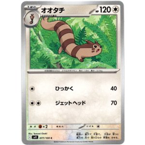 画像: オオタチ