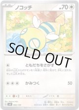 画像: ノコッチ