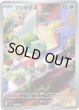 画像: ※傷有り品（返品交換対象外）【AR】フシギダネ