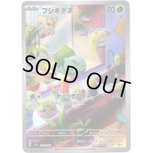 画像: ※傷有り品（返品交換対象外）【AR】フシギダネ