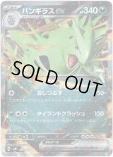 画像: バンギラスex