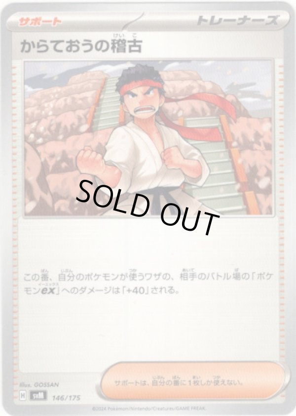 画像1: からておうの稽古(シンオウ地方)