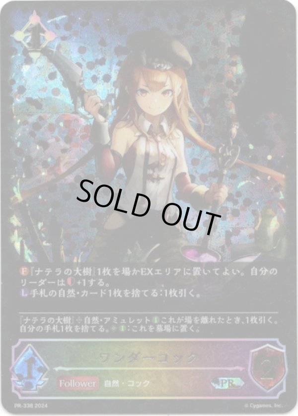 画像1: 【PR】【SL仕様】ワンダーコック