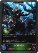 画像: 【EVOLVE】原生林の族長