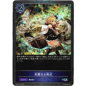 画像: 【プレミアム】美麗なる術式