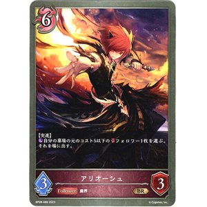 画像: アリオーシュ