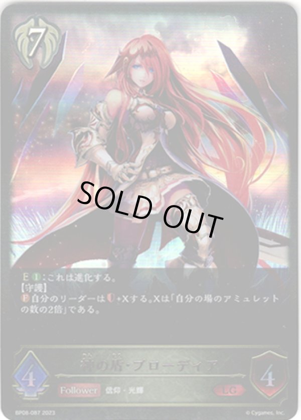 画像1: 神の盾・ブローディア