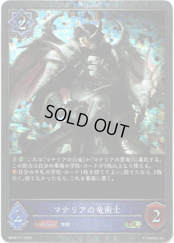 画像1: 【プレミアム】マナリアの竜術士