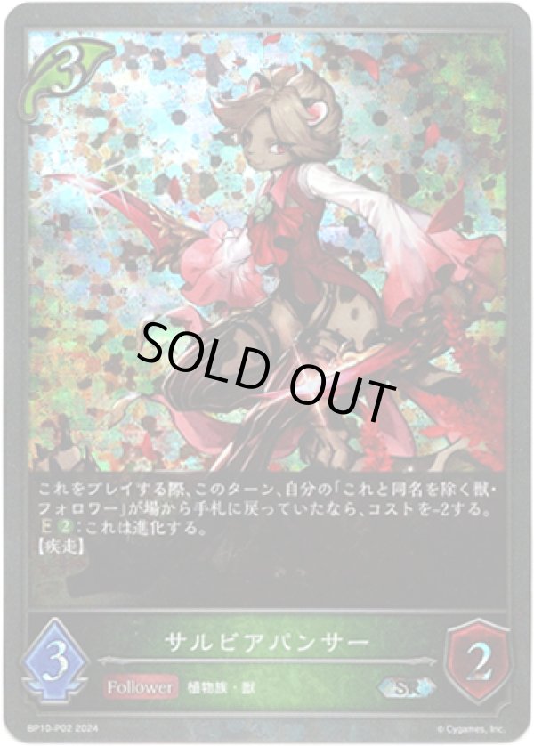 画像1: 【プレミアム】サルビアパンサー