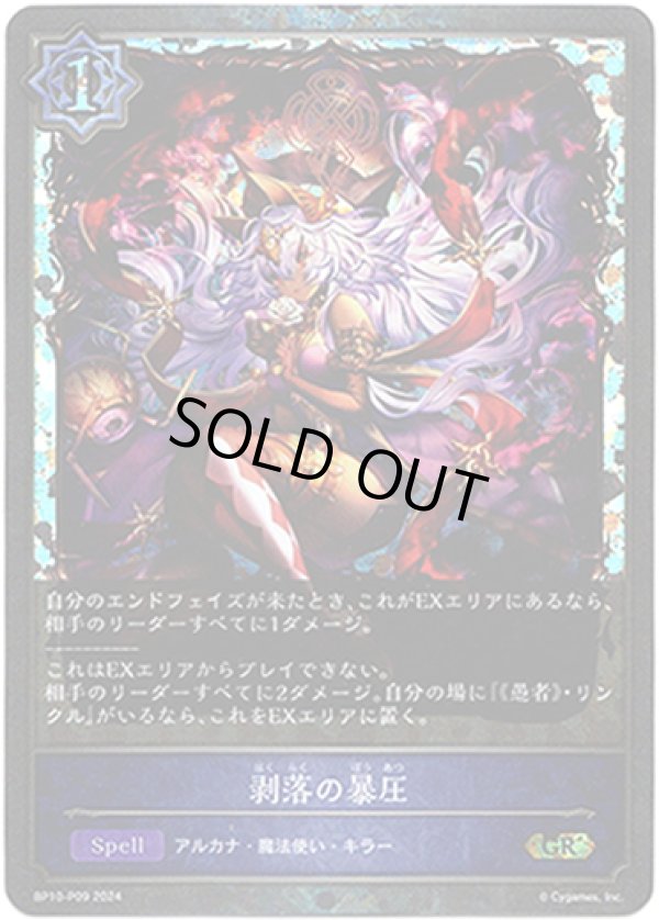 画像1: 【プレミアム】剥落の暴圧