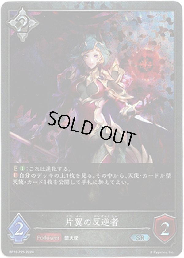 画像1: 【プレミアム】片翼の反逆者