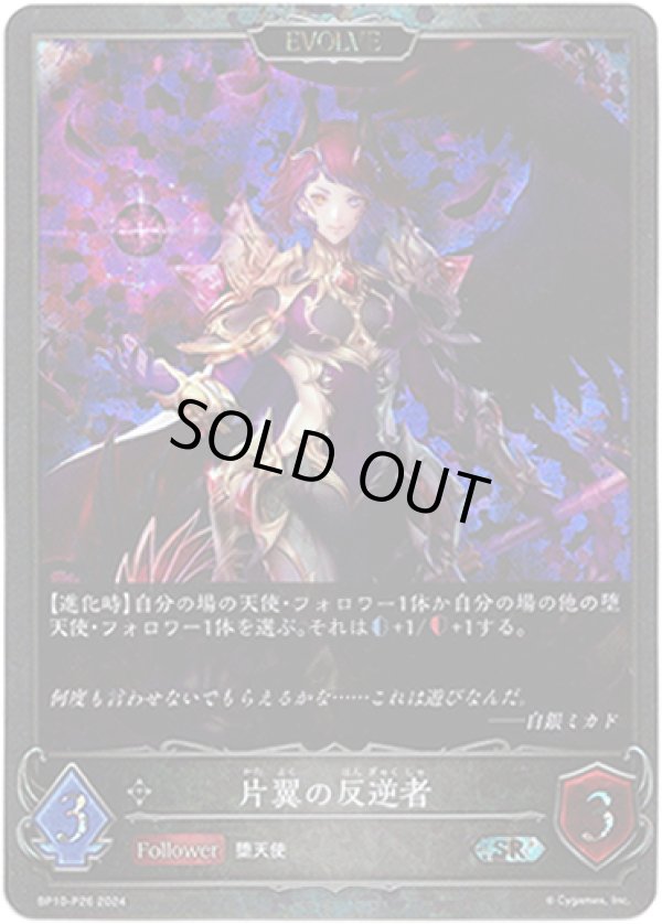 画像1: 【プレミアム】【EVOLVE】片翼の反逆者