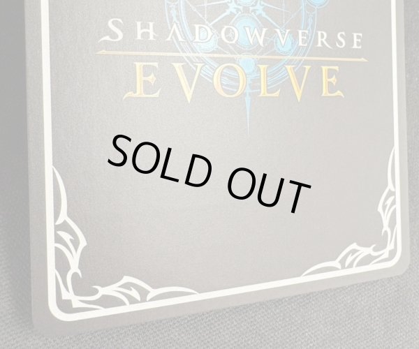 画像2: ※箔押し跡有り【SP】カースドクイーン・ナハト・ナハト