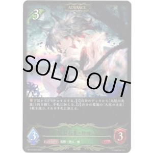 画像: ※傷有り品（返品交換対象外）【ADVANCE】九火石炎・セッカ