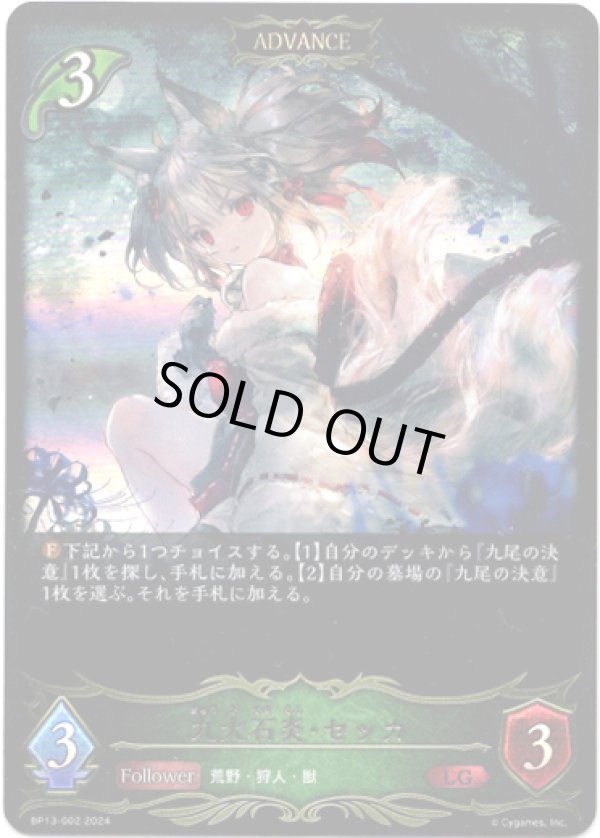 画像1: ※傷有り品（返品交換対象外）【ADVANCE】九火石炎・セッカ