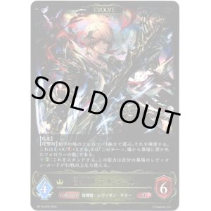 画像: ※傷有り品（返品交換対象外）【EVOLVE】雷滅卿・アルベール