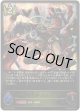 画像: ※傷有り品（返品交換対象外）華の大将・タケツミ