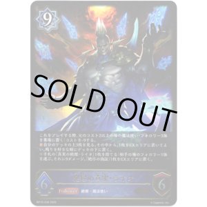 画像: ※傷有り品（返品交換対象外）絶尽の真実・ライオ