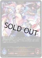 画像: ※傷有り品（返品交換対象外）【EVOLVE】天威のドラグーン