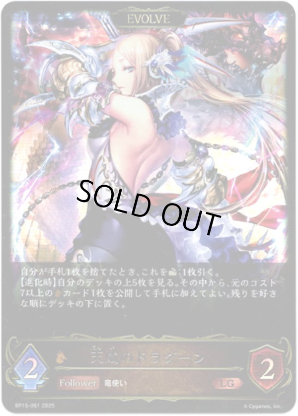 画像1: ※傷有り品（返品交換対象外）【EVOLVE】天威のドラグーン