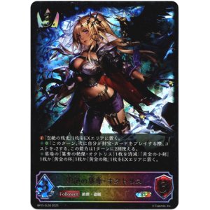 画像: 【スーパーレジェンド】空絶の簒奪・オクトリス