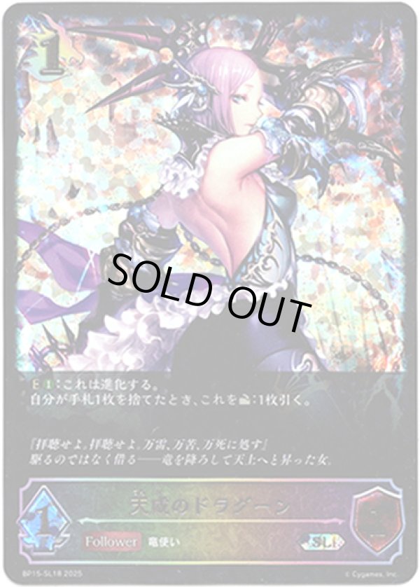画像1: ※傷有り品（返品交換対象外）【スーパーレジェンド】天威のドラグーン