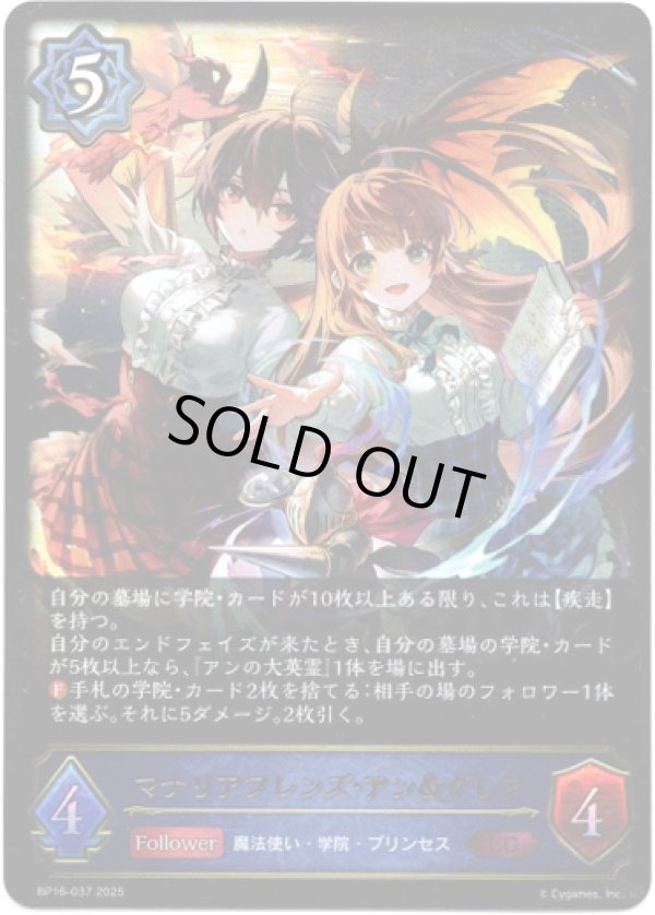 画像1: ※傷有り品（返品交換対象外）マナリアフレンズ・アン＆グレア