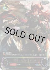 全商品 - TCG通販アドバンテージ (Page 352)