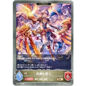 画像: 【EVOLVE】鉄鋼の翼人