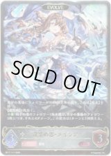 画像: ※傷有り品（返品交換対象外）【EVOLVE】粛清の器・メイシア