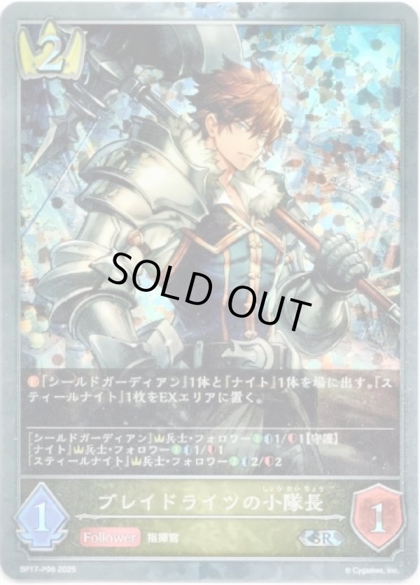 画像1: 【プレミアム】ブレイドライツの小隊長
