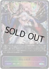 画像: ※傷有り品（返品交換対象外）【スーパーレジェンド】母なる慈愛