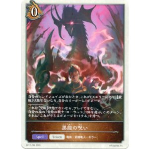 画像: 【ドラゴン】黒龍の呪い