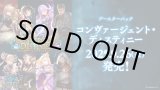 画像: ※予約商品　9月26日発売【未開封BOX】コンヴァージェント・ディスティニー【ShadowverseEVOLVE】