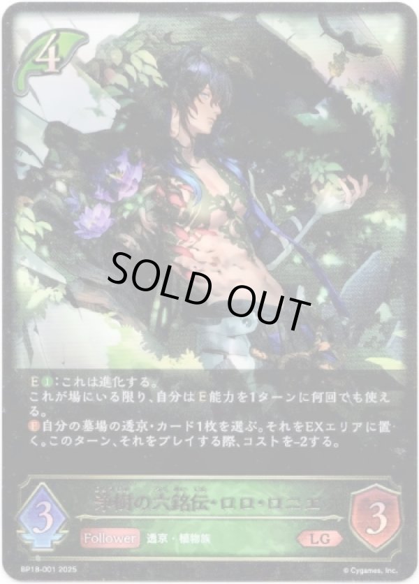 画像1: ※傷有り品（返品交換対象外）浄樹の六銘伝・ロロ・ロニエ