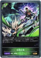 画像: 因芽応報