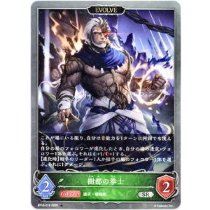 画像: 【EVOLVE】樹都の拳士