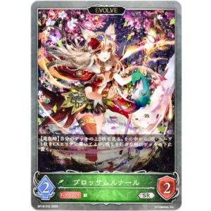 画像: 【EVOLVE】ブロッサムルナール