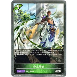 画像: 浄土蒔植