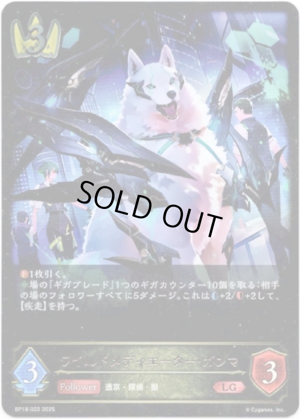 画像1: ※傷有り品（返品交換対象外）ワイルドメディエーター・ガンマ