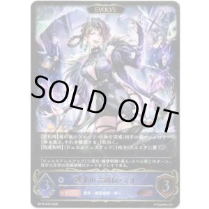 画像: ※傷有り品（返品交換対象外）【EVOLVE】越光の六銘伝・マナ