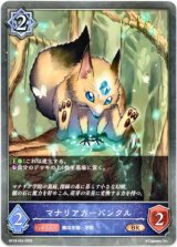 画像: マナリアカーバンクル