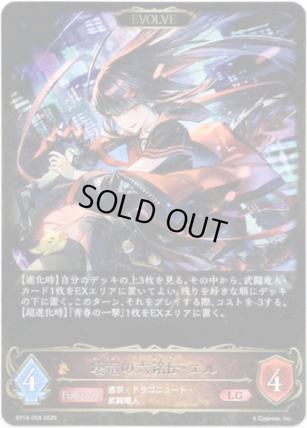 画像1: ※傷有り品（返品交換対象外）【EVOLVE】壊竜の六銘伝・エル