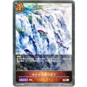 画像: オルカの滝のぼり