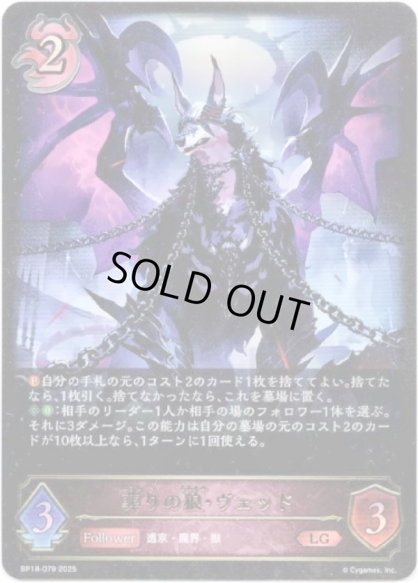 画像1: ※傷有り品（返品交換対象外）葬りの狼・ヴェッド