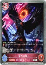 画像: 穿りの鴉