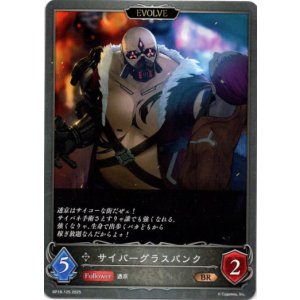 画像: 【EVOLVE】サイバーグラスパンク